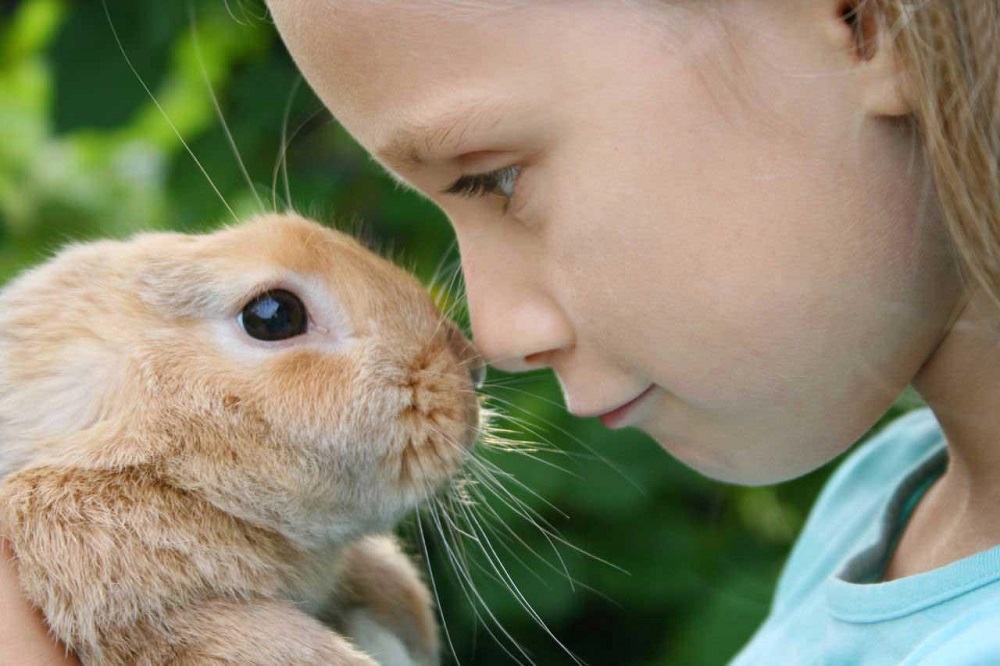 حساسیت پوست به خرگوش